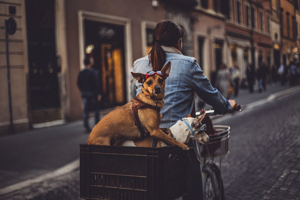 15-destination-wedding-photographer-wedding-rome-italy-italia-alex-tsitouridis-stardust-studio-gamos-roma